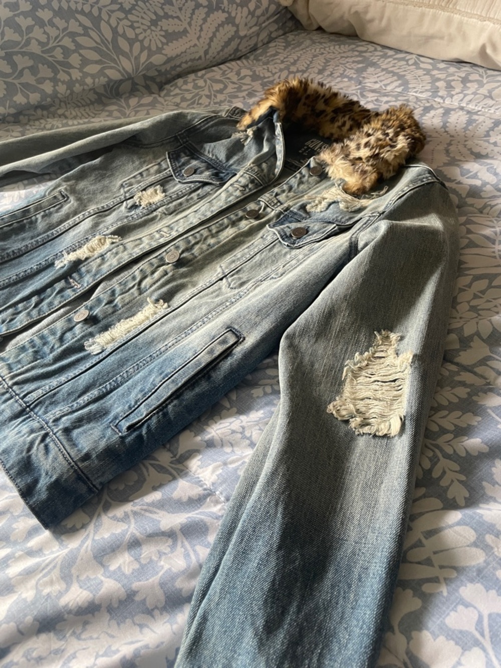 Leopard Collar Distressed Denim Jacket - Blue - Picture 3 of 10